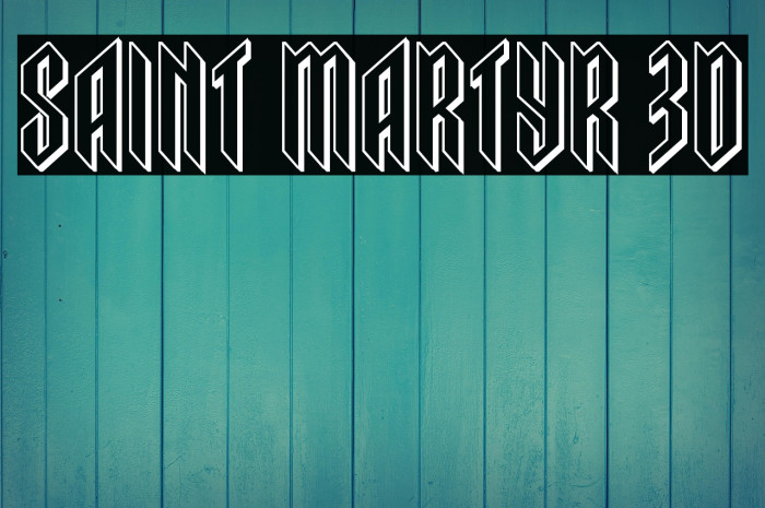 Saint Martyr 3D Example 1