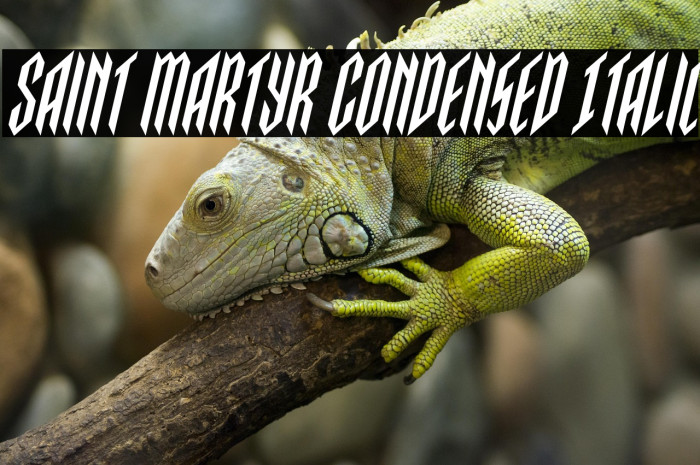 Saint Martyr Condensed Italic Example 1