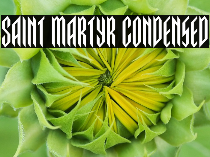 Saint Martyr Condensed Example 1