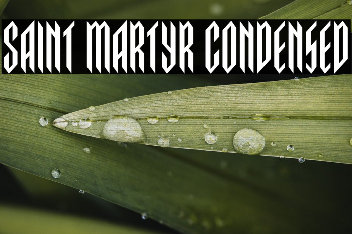 Saint Martyr Condensed Example 2