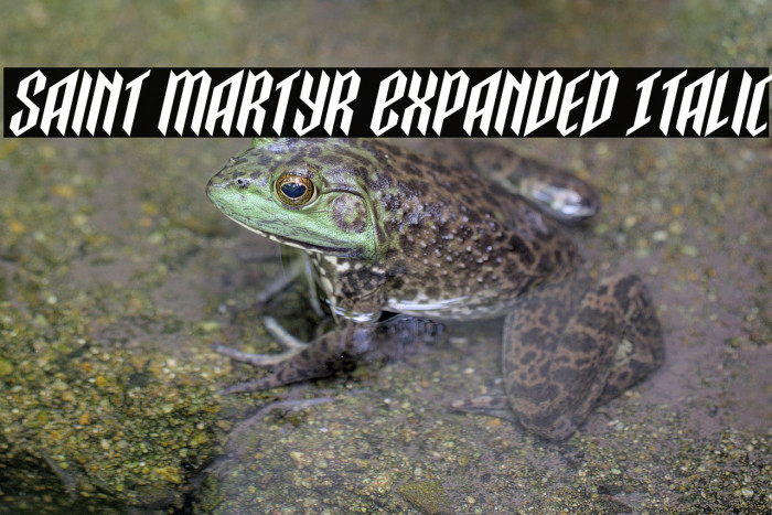 Saint Martyr Expanded Italic Example 1