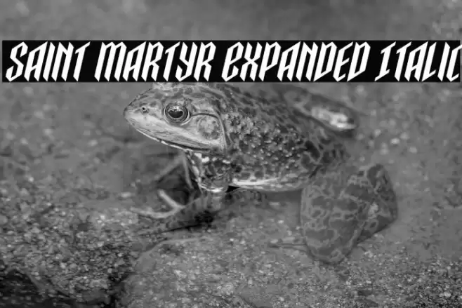 Saint Martyr Expanded Italic Font examples