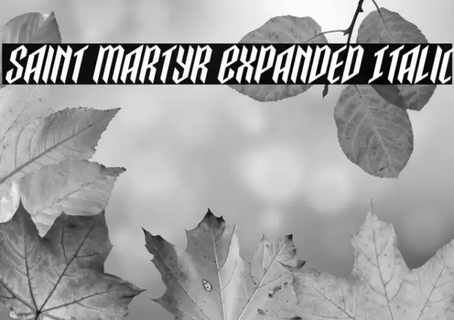 Saint Martyr Expanded Italic Font examples
