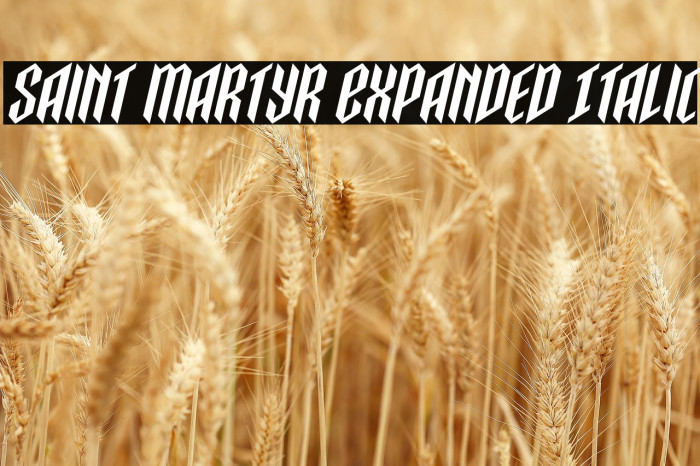 Saint Martyr Expanded Italic Example 3