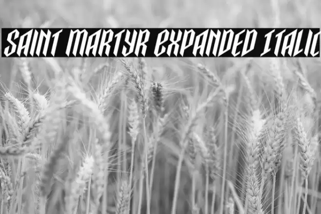 Saint Martyr Expanded Italic Font examples