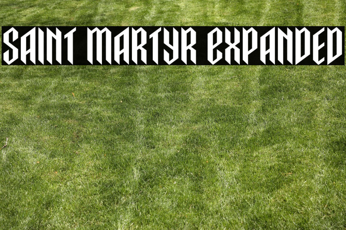 Saint Martyr Expanded Example 3