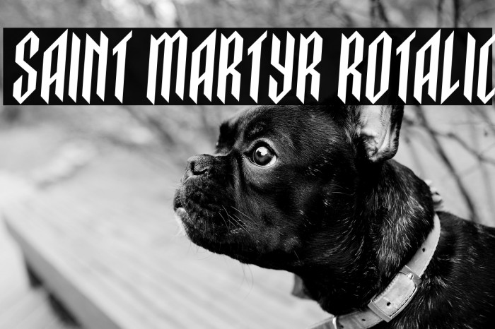 Saint Martyr Rotalic Example 2