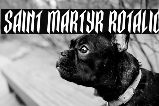 Saint Martyr Rotalic Example 2