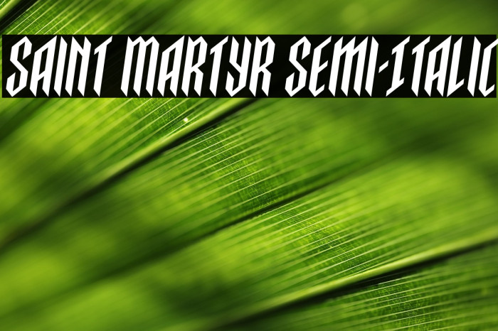 Saint Martyr Semi-Italic Example 1