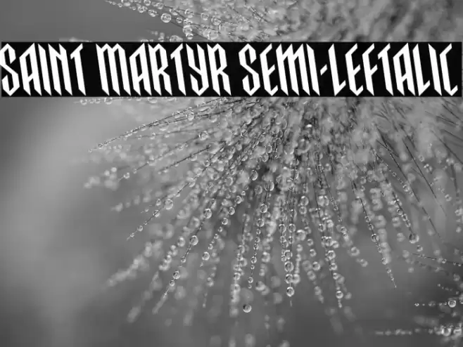 Saint Martyr Semi-Leftalic Font examples
