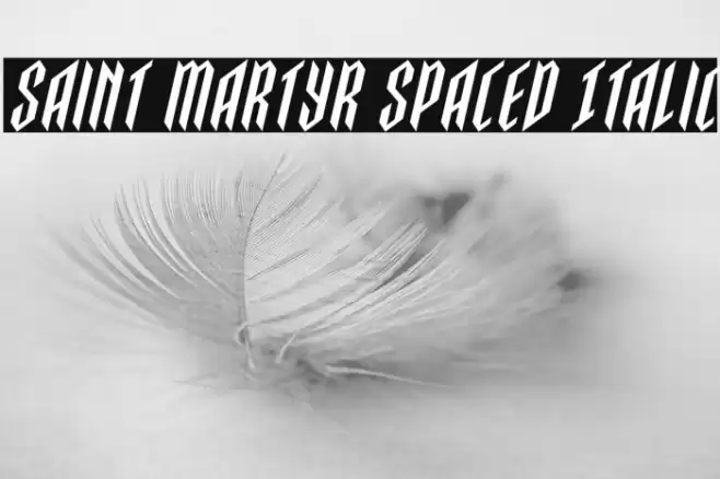 Saint Martyr Spaced Italic Font examples