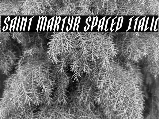 Saint Martyr Spaced Italic Font examples