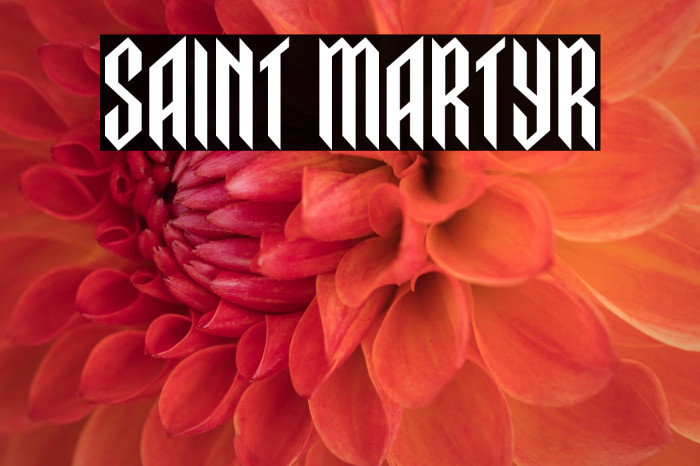 Saint Martyr Example 3