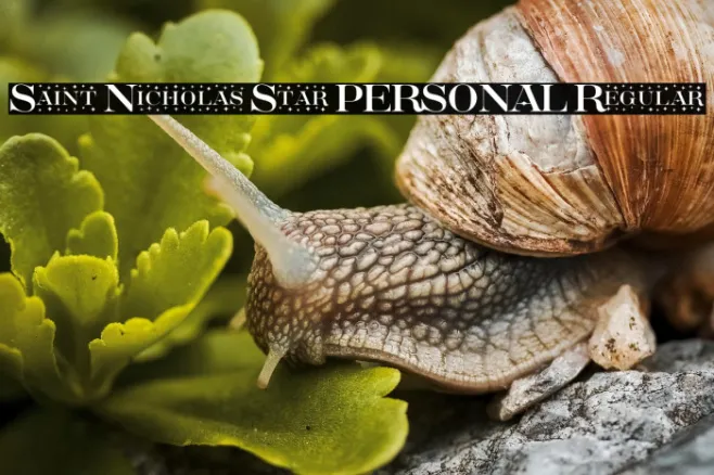 Saint Nicholas Star PERSONAL Regular Example 2