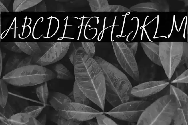 Saint Petersburg 2 - Italic Font examples