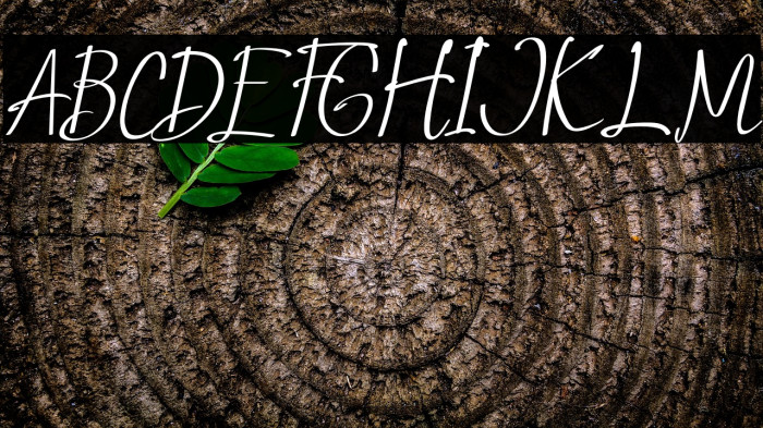 Saint Petersburg - Italic Example 1