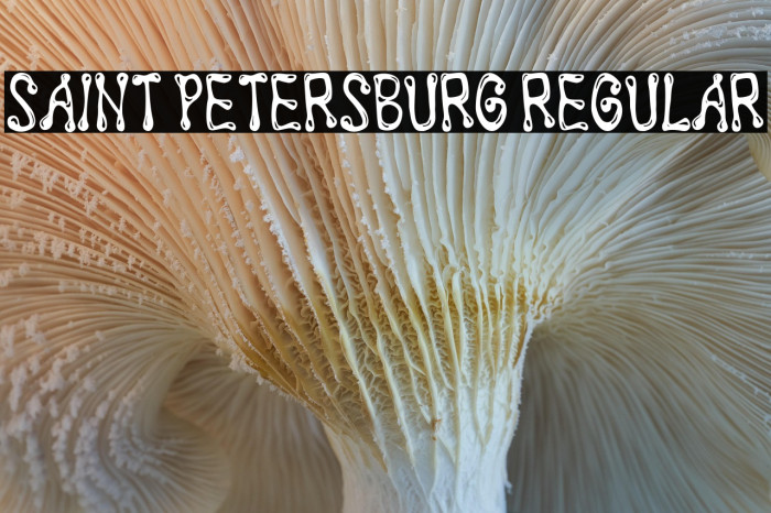 Saint Petersburg Regular Example 3