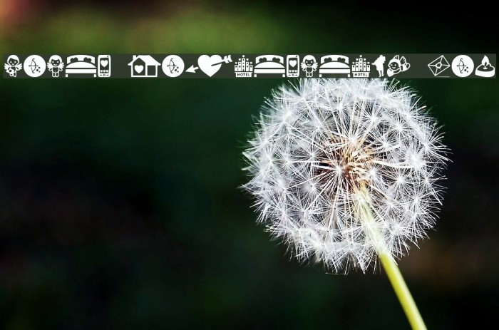 Saint Valentine's Day Example 2