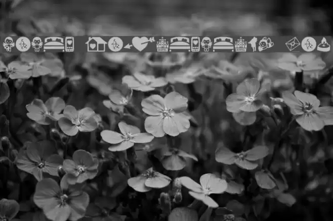 Saint Valentine's Day Font examples