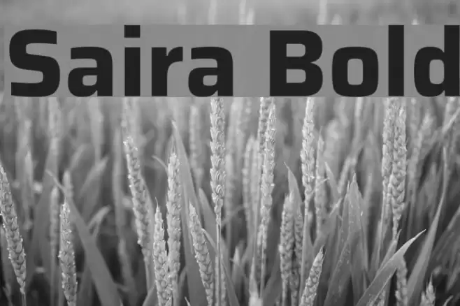 Saira Bold Font examples