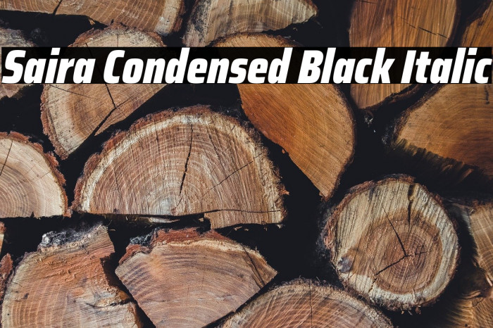 Saira Condensed Black Italic Example 2