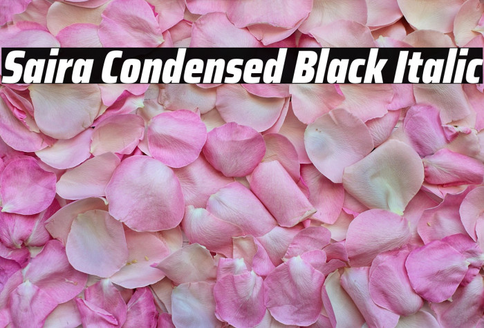 Saira Condensed Black Italic Example 3