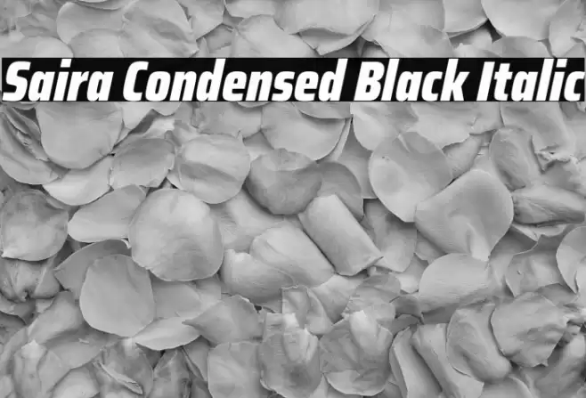 Saira Condensed Black Italic Font examples