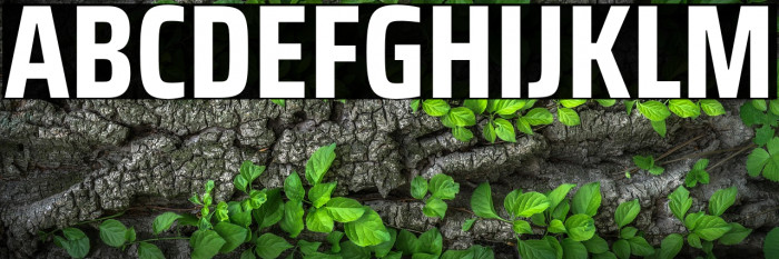 Saira Condensed Bold Example 3