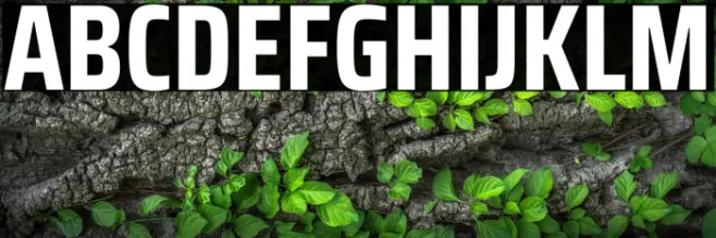 Saira Condensed Bold Example 3