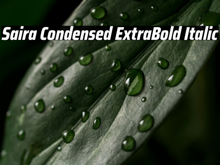 Saira Condensed ExtraBold Italic Example 3