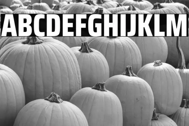 Saira Condensed ExtraBold Font examples