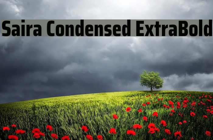 Saira Condensed ExtraBold Example 2