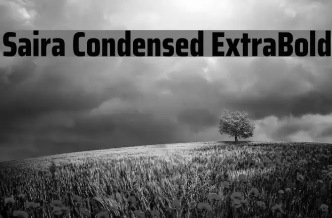 Saira Condensed ExtraBold Font examples