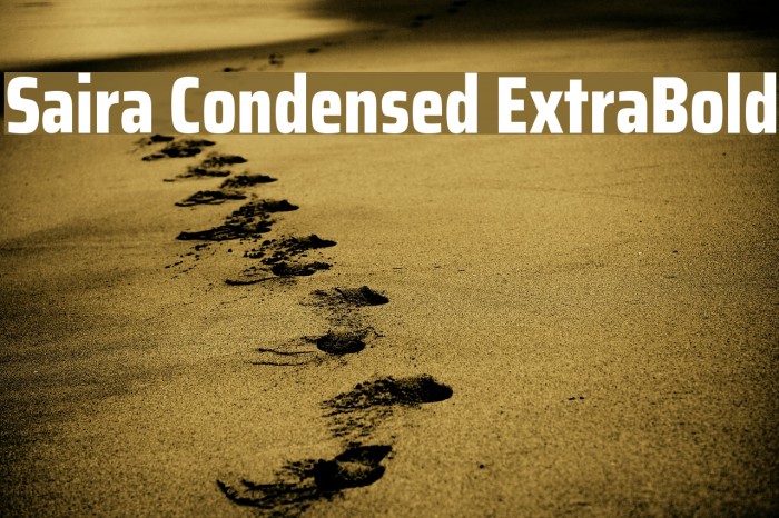 Saira Condensed ExtraBold Example 3