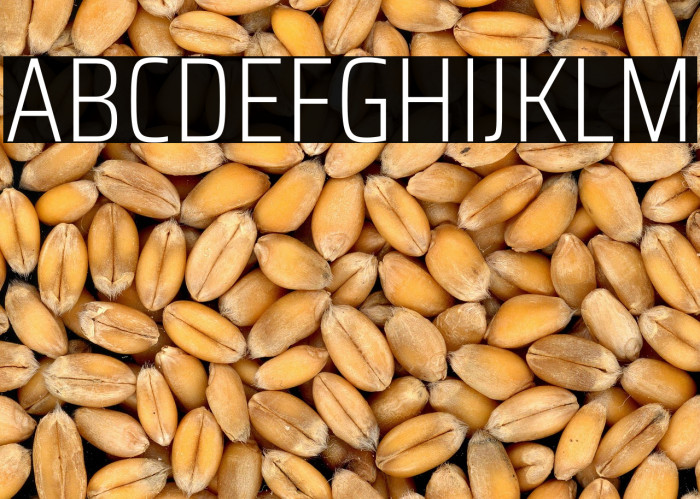 Saira Condensed ExtraLight Example 3