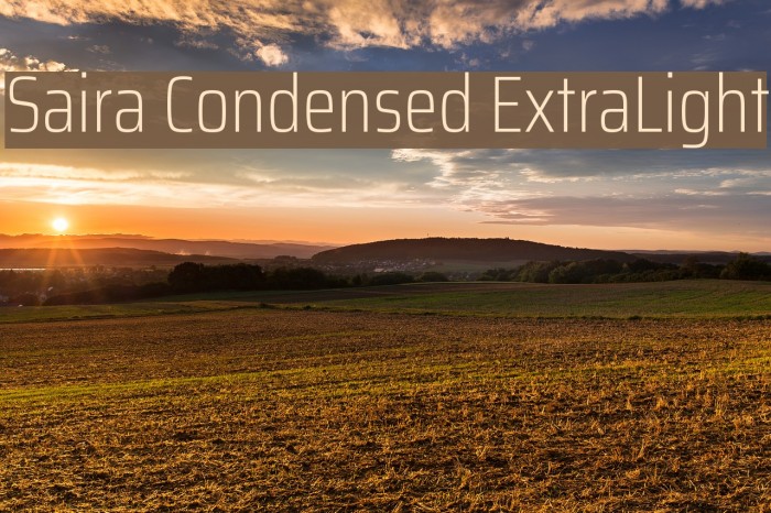 Saira Condensed ExtraLight Font examples