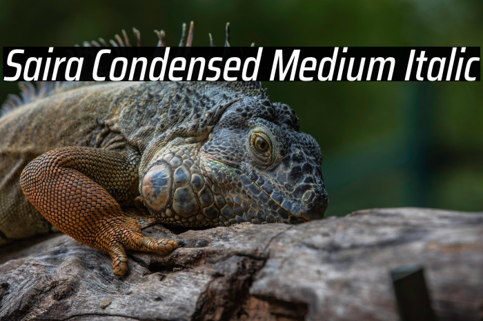 Saira Condensed Medium Italic Example 3