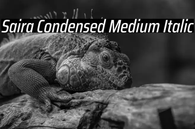 Saira Condensed Medium Italic Font examples