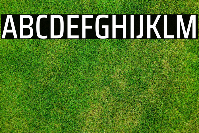 Saira Condensed Medium Example 3