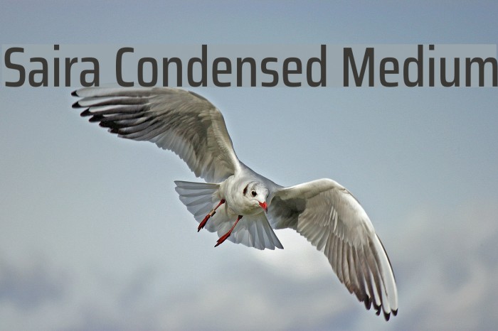 Saira Condensed Medium Font examples