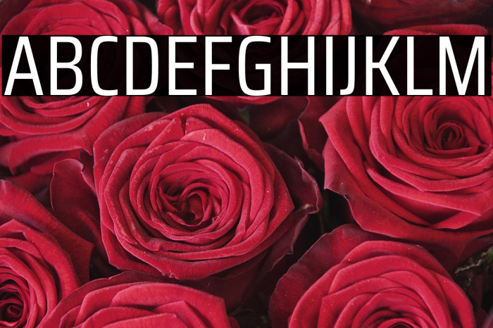 Saira Condensed Regular Example 1