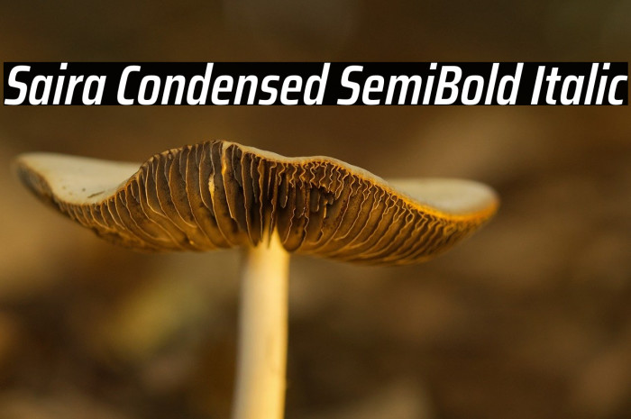 Saira Condensed SemiBold Italic Example 1