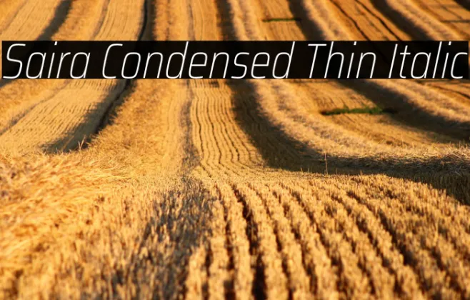 Saira Condensed Thin Italic Example 3