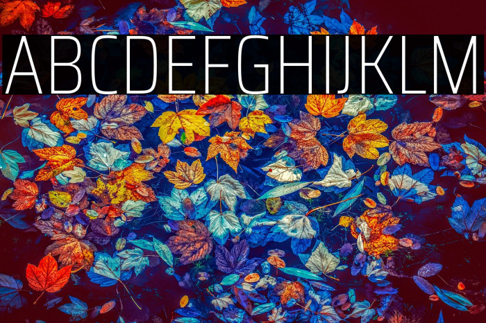 Saira Condensed Thin Example 1