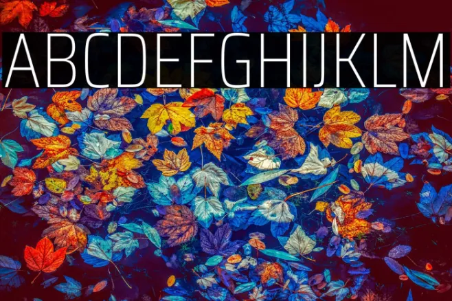 Saira Condensed Thin Example 1