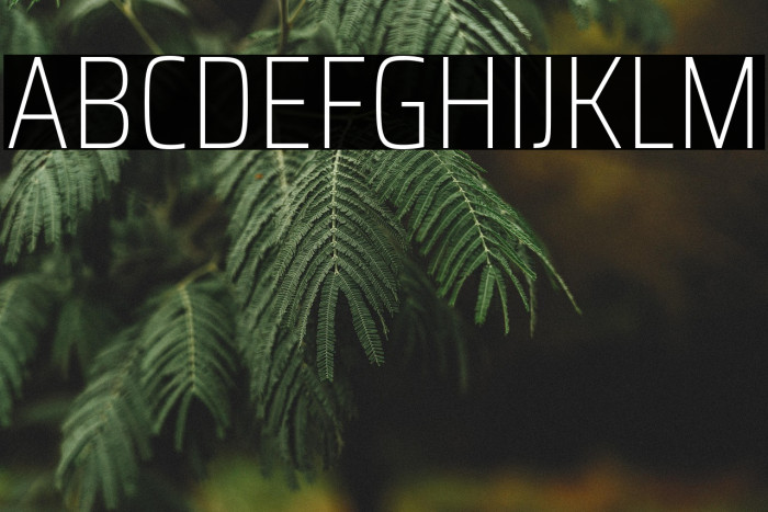 Saira Condensed Thin Example 2