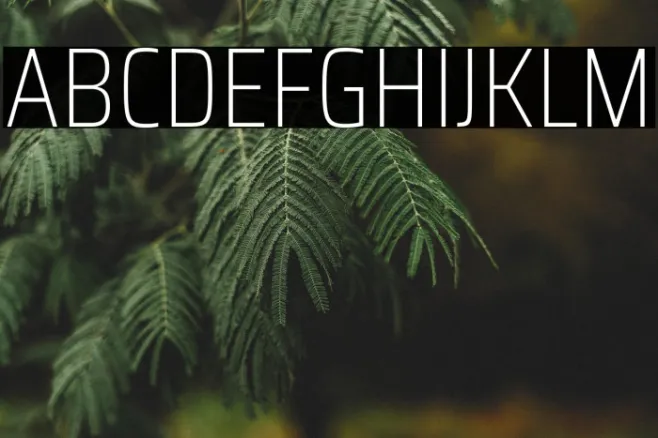 Saira Condensed Thin Example 2