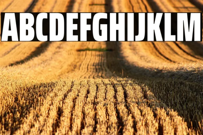 Saira ExtraCondensed Black Example 1