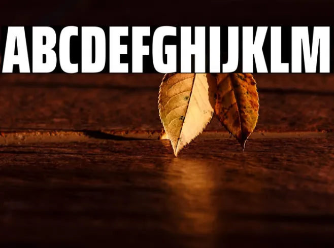 Saira ExtraCondensed Black Example 3