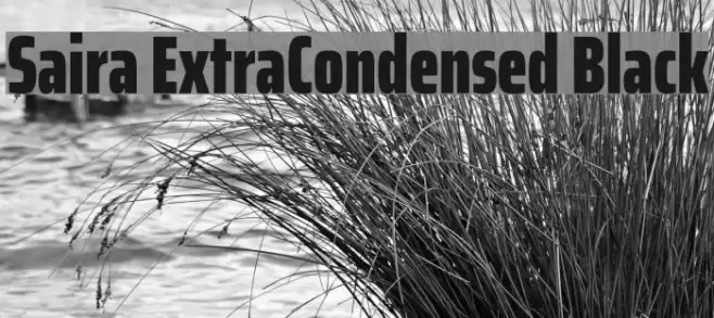 Saira ExtraCondensed Black Font examples
